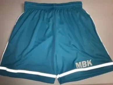 Reflector Shorts